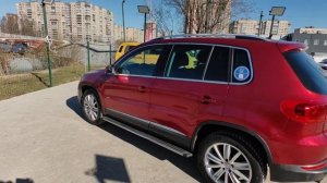 petal_20260409_104429