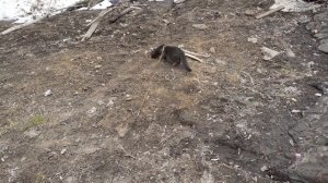 Встреча с соседом.