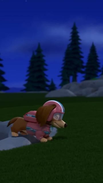 Щенячий патруль | Hij Wilde Nog Snel Een Selfie Maken Vóór De Redding! | Nick Jr. Cyrillic