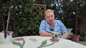 Курбанова - Весь день на ногах . Принёс домой заразу . Обиделись ушли из дома 😭