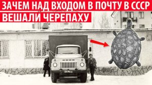 Зачем над входом в почту в СССР вешали черепаху Интересные факты