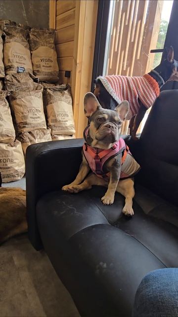 Доброе утро 🌄