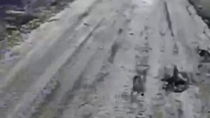 Российский дрон догоняет ВСУшников на квадроцикле с прицепом.