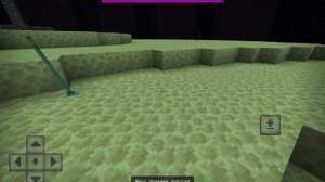 МИР ДРАКОНА #190 ПОПУГАЙ ЛЕТАЕТ БЕЗ ГРАВИТАЦИИ В ДРУГОМ МИРЕ