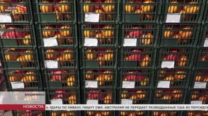 Два грузовика с тоннами овощей и фруктов отправятся в Дагестан уже завтра утром