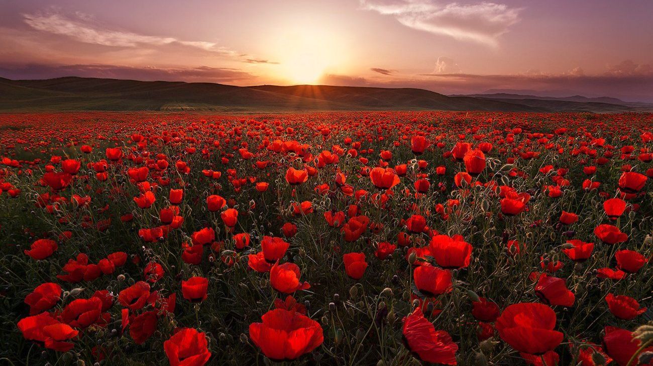 Песни на мои стихи - Почти не больно...