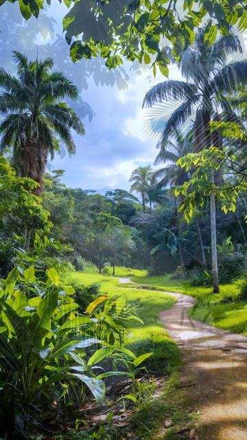 Шелест листьев.