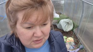 Сами на хозяйстве.