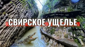 DJI AVATA 360 - СВИРСКОЕ УЩЕЛЬЕ - РОССИЯ