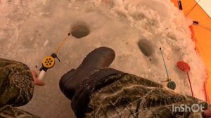 Ловля густеры зимой