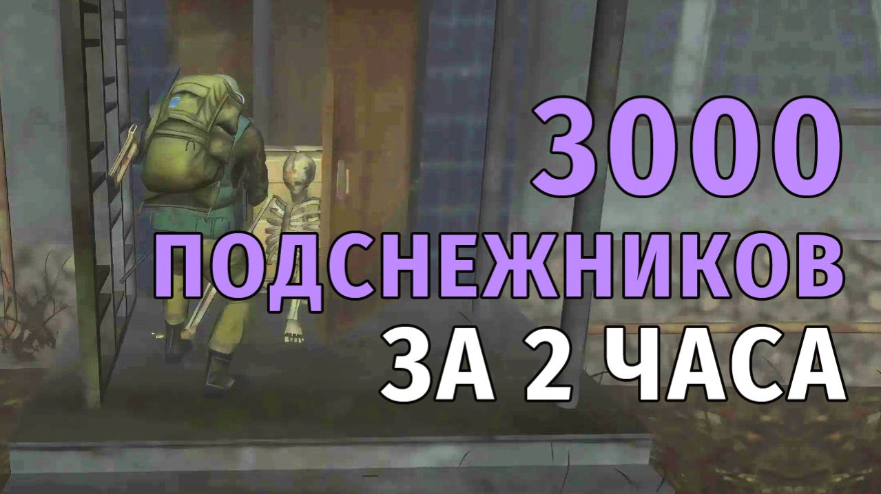 140. 3000 подснежников за 2 часа. Stay Out  RU2