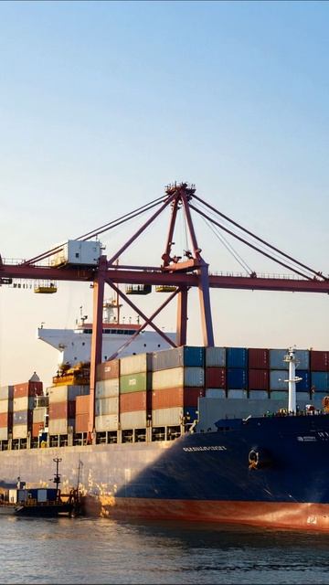 Современные грузовые суда в порту #грузоперевозки #производство #логистика
