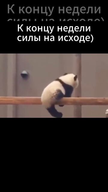 К концу недели силы на исходе)