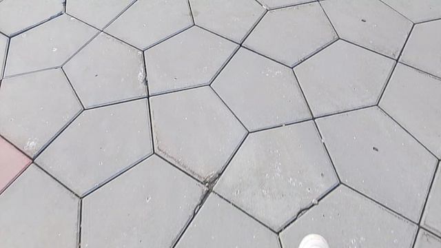 Гуляем с Басиком и Мией по тц часть |2