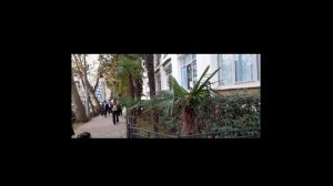 улица Северная Сочи