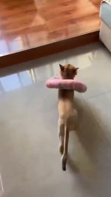 ПОДИУМНАЯ...