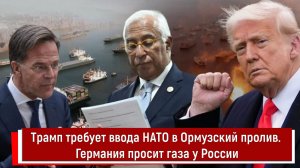 Трамп требует ввода НАТО в Ормузский пролив. Германия просит газа у России