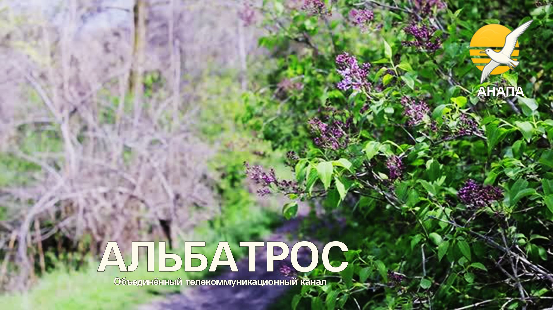 Весенняя рапсодия в Детском парке 🌸☀️ 8 апреля 2026 — птички поют, утки плавают, красота весны