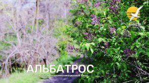 Весенняя рапсодия в Детском парке 🌸☀️ 8 апреля 2026 — птички поют, утки плавают, красота весны