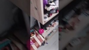 правда ил действие с подругой и Алисой