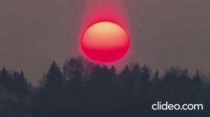 Стихотворение ''Куда уходят люди?''. Канал Ксении Вишневской