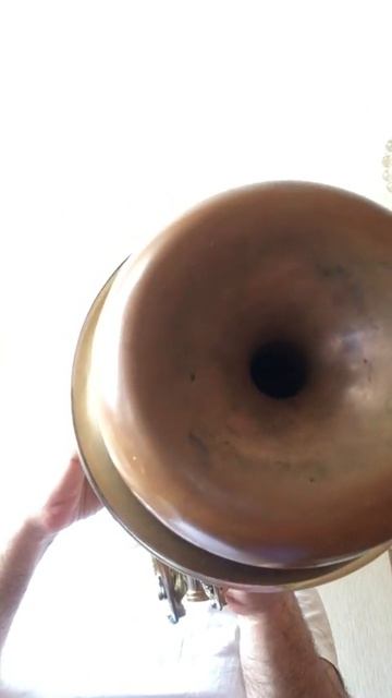 Весеннее настроение - Труба соло