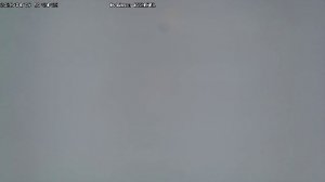 LIVE: channel43489494