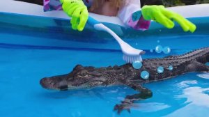 Настя учит свою подругу этикету. Сборник полезных виде