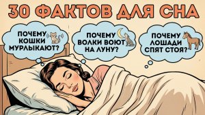 30 фактов про животных чтобы быстро уснуть