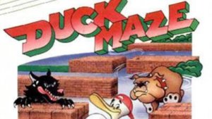 Duck Maze (NES)