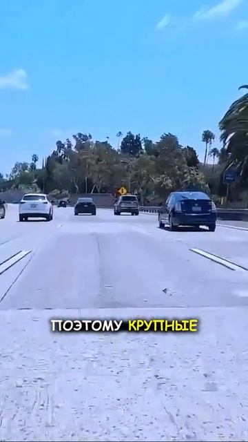 Бетонные дороги США. Почему они лучше асфальта?