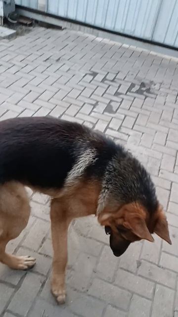 убираем территорию