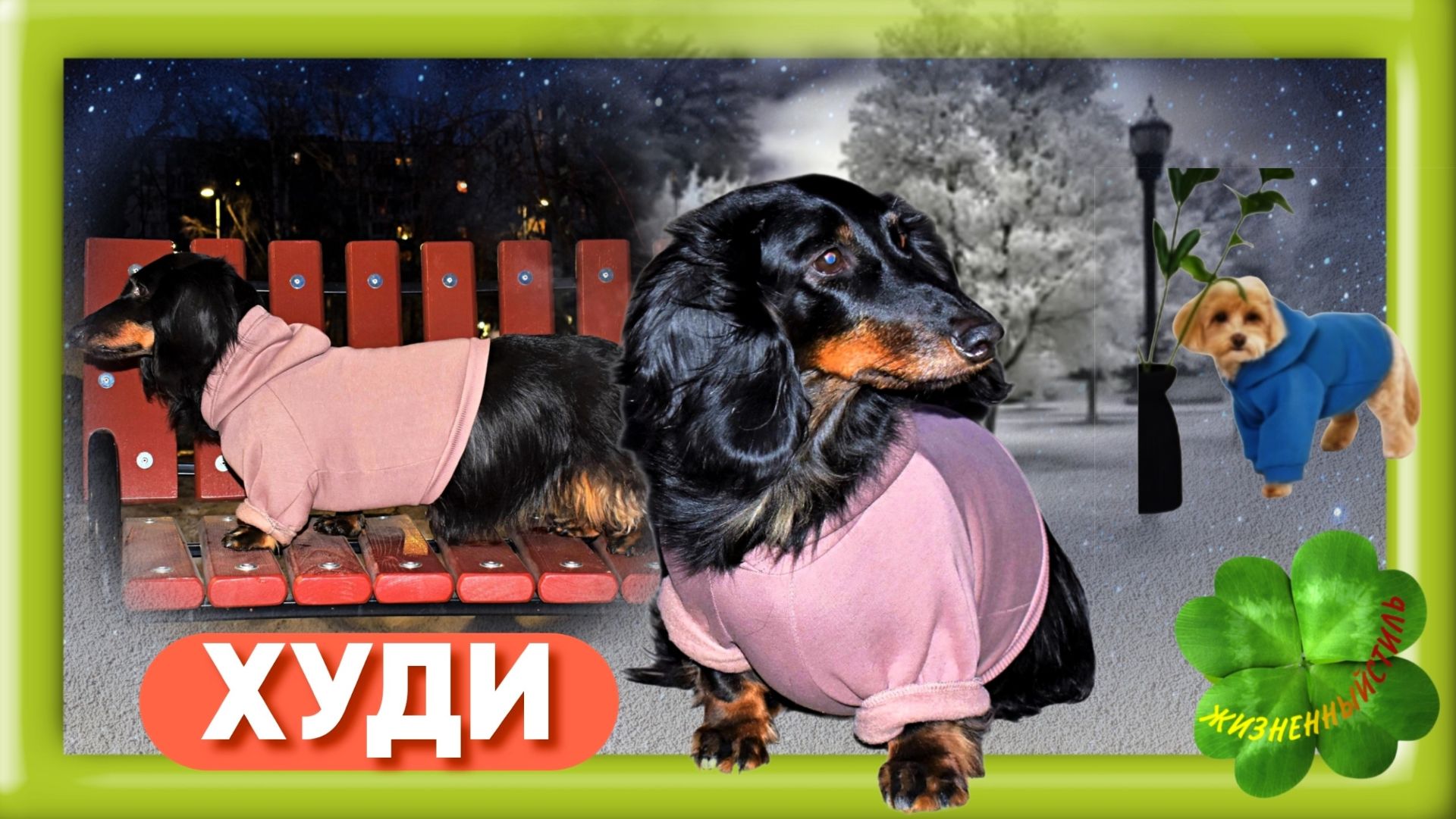 ХУДИ для маленькой собаки Арт: ALI4177700942 , толстовка