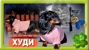 ХУДИ для маленькой собаки Арт: ALI4177700942 , толстовка