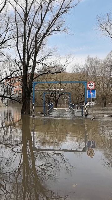 20260409_Браво_Ветер знает.mp4