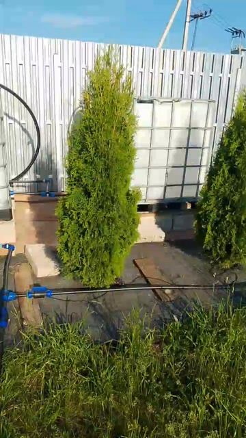 Запилили капельный полив