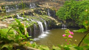 Звуки природы 🌿журчание реки и пение птиц для расслабления, медитации и улучшения сна.