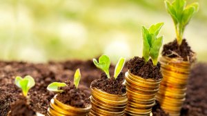 Вечная аренда. Кому на самом деле принадлежит земля ?