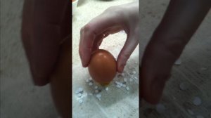 Готовимся к пасхе