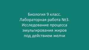 Исследование процесса эмульгирования жиров под действием желчи