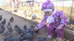 Прогулки с детьми, смотреть видео детям и малышам. Весна, кормим птичек, дети на прогулке, просмотр