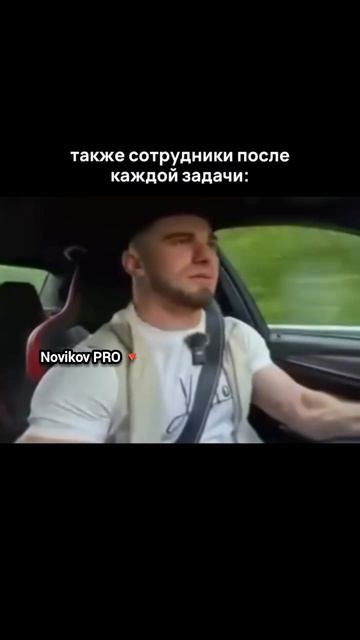 САМОСТОЯТЕЛЬНОСТЬ