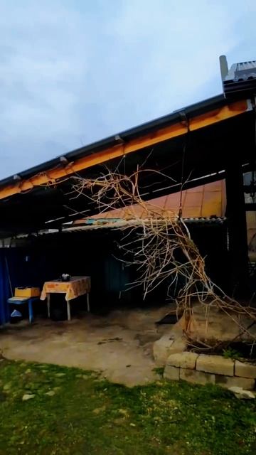 🏡Тихое счастье  на Кубани!📋80.9 м2🦯18 соток 💰3 000 000 ₽ 📍ст. Новопластуновская📲89245404992 🌴