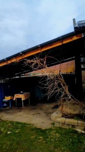 🏡Тихое счастье  на Кубани!📋80.9 м2🦯18 соток 💰3 000 000 ₽ 📍ст. Новопластуновская📲89245404992 🌴