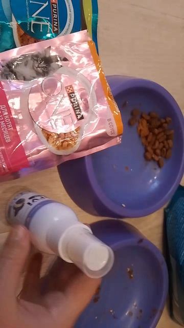 кормление кошек