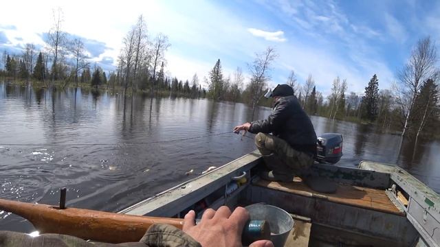 РЫБАЛКА НА СЕТИ.ОТЛИЧНЫЙ УЛОВ?