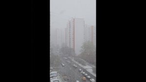 снег в апреле!