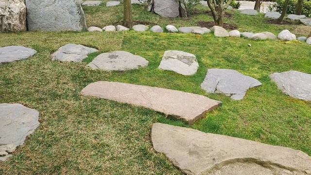 Волшебный камень фонтан в японском саду. Здесь  происходит чудо.