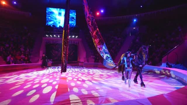 Цирковой номер с лошадью "Амирэя"