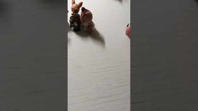 сильвашки милашки 20 серия  Исчезнувшие зонтики